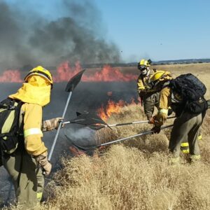 Un operativo de 500 personas y 44 medios aéreos y terrestres protegen a Toledo de los incendios forestales