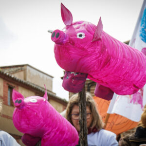 Toledo comenzará el año con manifestaciones por el fin de la moratoria a las macrogranjas porcinas