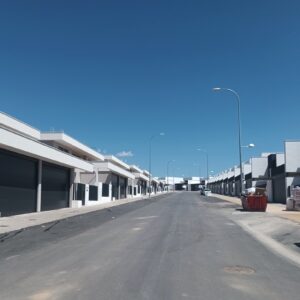 IU-Podemos critica al Ayuntamiento de Toledo por no fomentar las plantaciones de árboles en las nuevas licencias de urbanización