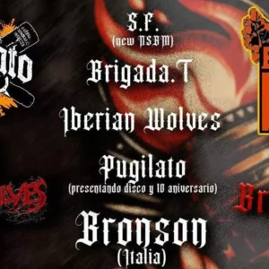 El PSOE exige prohibir una jornada de conciertos de grupos con "tintes neonazis" en Toledo