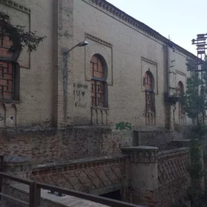 La universidad y la gestión de su patrimonio