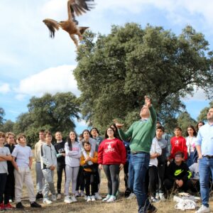 De la Academia de Infantería a volar los cielos de Oropesa: el águila imperial que se crio en cautividad en Sevilleja de la Jara