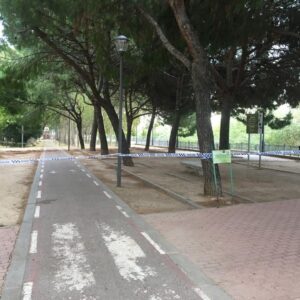 Talavera cierra todos los parques por las fuertes rachas de viento
