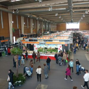 La gastronomía de Talavera volverá a brillar en el Ferial en una cita 'Con gusto' que reunirá a 62 expositores