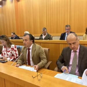 El PP de Talavera rechaza reprobar al concejal de Vox David Moreno por cuestionar a Cruz Roja tras la DANA