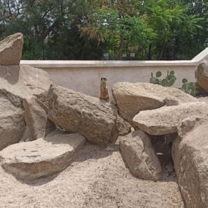 Koki, un zoo toledano "con alma" e inclusivo donde habitan 150 especies