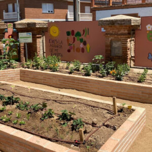 Más de 130 centros participarán en una nueva edición de los 'Huertos Escolares Ecológicos' de la Diputación