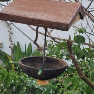 Ecologistas en Acción celebra en Toledo un taller de construcción de comederos para aves