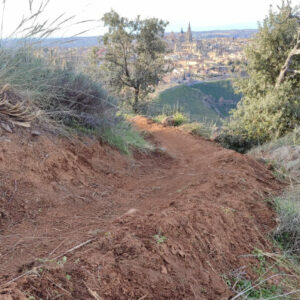 ARBA Toledo denuncia la construcción "ilegal" de circuitos para bicicletas en el Valle que destruye flora protegida