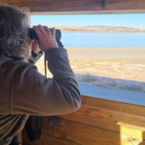 Inversión de 800.000 euros para mejorar el agua y conservar especies en la Laguna Larga de Villacañas