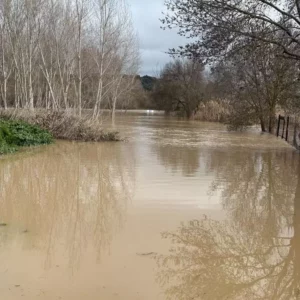 El Gobierno de España ya tiene los expedientes para declarar Escalona como zona catastrófica tras la crecida del río Alberche