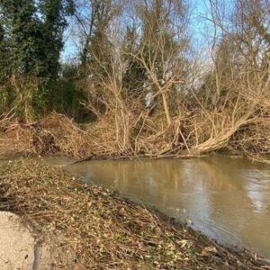 El desbordamiento del arroyo Alcañizo provoca daños en explotaciones agrarias y ganaderas de Oropesa