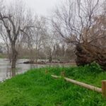 agua tajo inundación senda