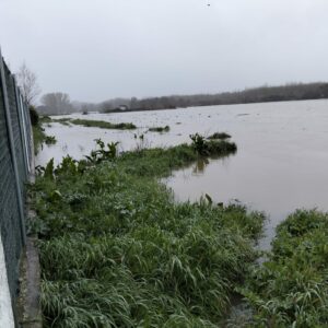 Crean la Plataforma de Afectados por el río Alberche tras cuatro inundaciones en dos semanas