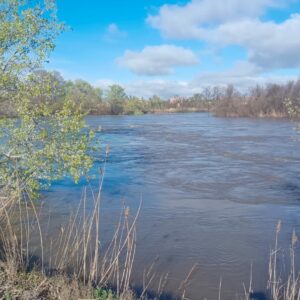 Indignación por un trasvase trimestral de 180 hm3 del Tajo al Segura: "Dejará sin agua al río a su paso por la ciudad"