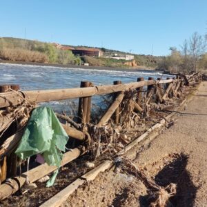 IU-Podemos critica a PP y Vox la jornada de 'basuraleza' en las riberas del Tajo: "Pagamos 8 millones a una empresa para que lo haga"