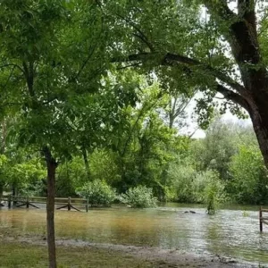 Nuevo desalojo de 60 familias en Escalona, que retorna "al momento cero" con otra crecida del río Alberche