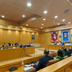 Unanimidad en el Pleno de Talavera de la Reina para pedir apoyo técnico y económico para rehabilitar el Puente Viejo de manera urgente