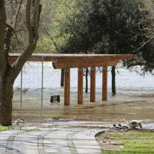 Amplían tres meses las obras en la ribera del Tajo entre Alcántara y Daicán tras paralizarse por la crecida del río