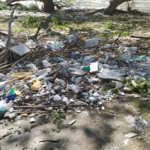 Convocan una jornada de 'basuraleza' para limpiar la ribera del Tajo tras los residuos acumulados con la crecida