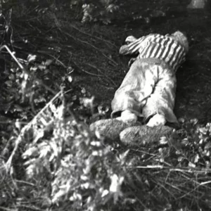 Homenaje a los castellanomanchegos deportados a los campos nazis por el 80 aniversario de la liberación de Mauthausen