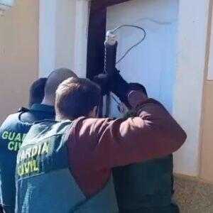 Detienen a una mujer que tenía decenas de perros y gatos en condiciones insalubres en Villaluenga de la Sagra