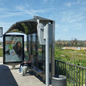 Buses al sol en el paseo de la Rosa: los vecinos recriminan la tala de varios árboles, hecha en base a "informes técnicos"