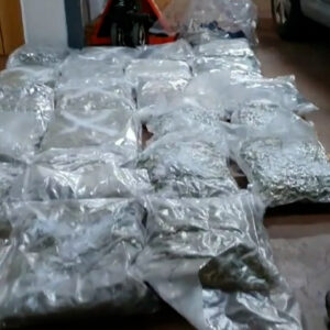 Los paquetes inodoros de marihuana y hachís que viajaban de Toledo a toda Europa