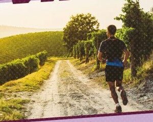 'Running entre viñedos', una carrera solidaria a favor de las personas con alzheimer de Toledo