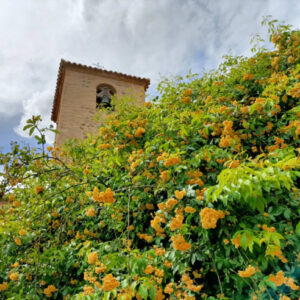 El Jardín de San Lucas en Toledo abre las puertas del Mercado de Flores todo el fin de semana