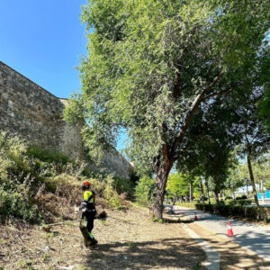 Comienza la campaña de desbroce en todos los barrios de Toledo con más de 30 operarios