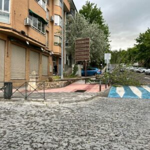 Cae un árbol por el viento en la calle Cabrahigos, frente a la estación de tren de Toledo