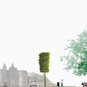 Arrancan las obras en la Vega: los quioscos hasta después de Navidad y 30 plátanos en "la entrada imperial"