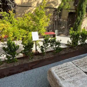 El Sefardí se convierte en un refugio frente a las altas temperaturas, con entrada gratuita y espacios de ocio o trabajo