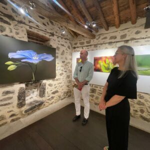 Santa María de Melque acoge una nueva exposición: 'Pequeños paisajes' de Isabel Nieto-Márquez