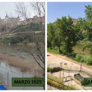 Así está el río Tajo tres meses después de la crecida que regaló una playa a Toledo