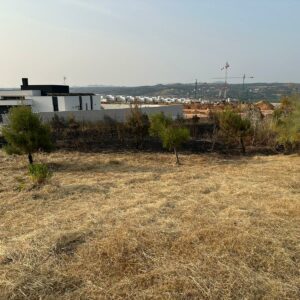 El plan de desbroce prioriza la zona afectada por el incendio de La Legua y alcanza el 30% en toda la ciudad