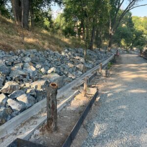 Denuncian la tala de una decena de árboles en el sendero que une el Cristo de la Vega y la senda ecológica