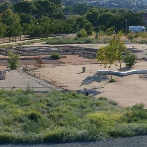 Y la Vega Baja continúa perdiendo su alma…