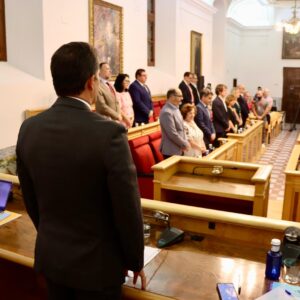 El Pleno da luz verde a las nuevas ordenanzas para regular la actividad turística y la zanja única en Toledo