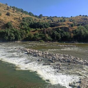 La Confederación del Tajo investiga concesiones hidroeléctricas tras otra bajada del caudal al límite ecológico en Toledo