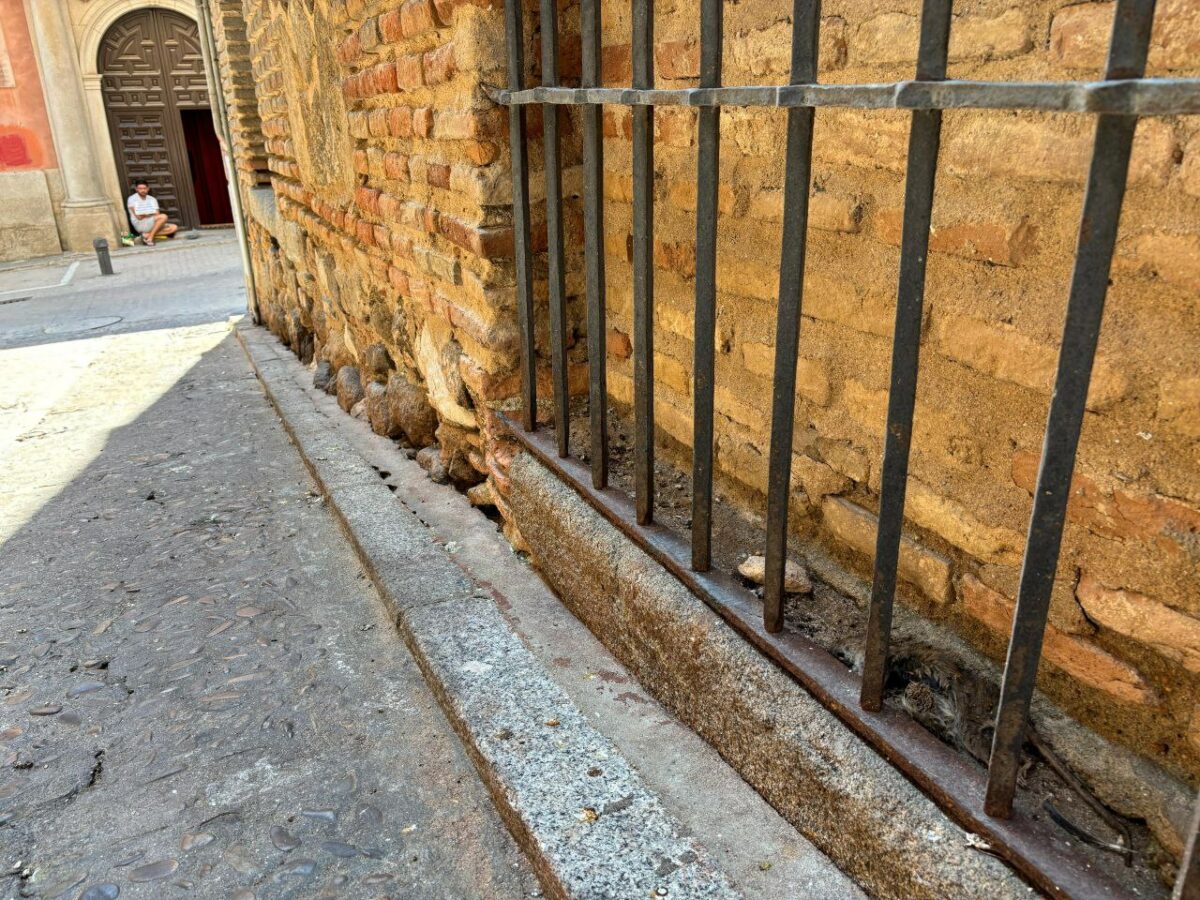 ALTAVOZ VECINAL | Vecinos de Toledo denuncian con imágenes la presencia de ratas en distintos barrios