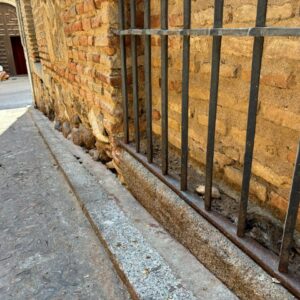 ALTAVOZ VECINAL | Vecinos de Toledo denuncian con imágenes la presencia de ratas en distintos barrios