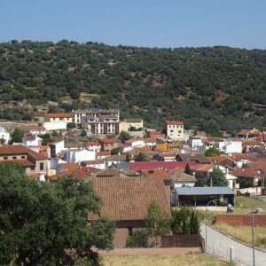 Moción de censura en Pepino: el PSOE se une a Vox y exconcejales 'populares' para expulsar al alcalde del PP