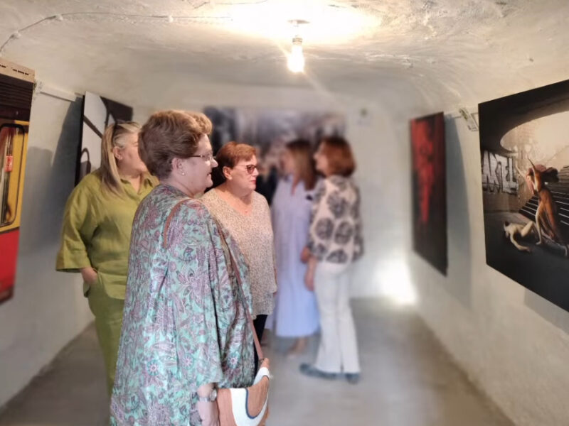 Villacañas inaugura la segunda muestra de 'Mujeres y artistas' dentro de la XVIII edición de “EntreSILOS”