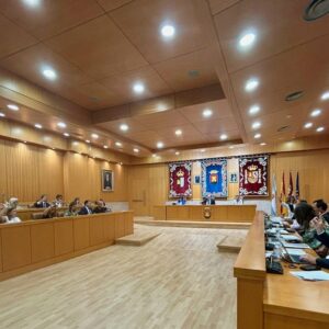 Unanimidad en Talavera para pedir una segunda UVI móvil y mejor accesibilidad al Museo Ruiz de Luna