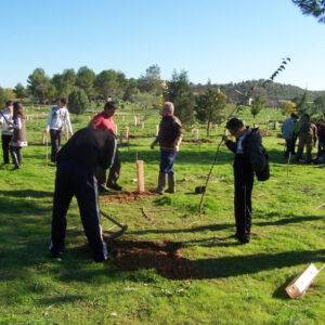 Abierto el plazo de inscripción para las jornadas de plantación participativa en la finca El Borril en Polán