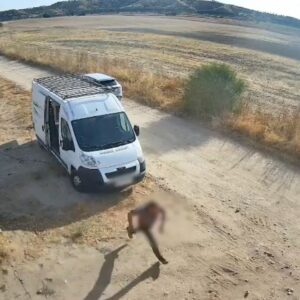 Investigan a dos personas tras provocar por imprudencia el incendio forestal de Polán que calcinó 330 hectáreas