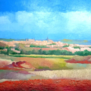 Los objetivos del futuro POM de Toledo