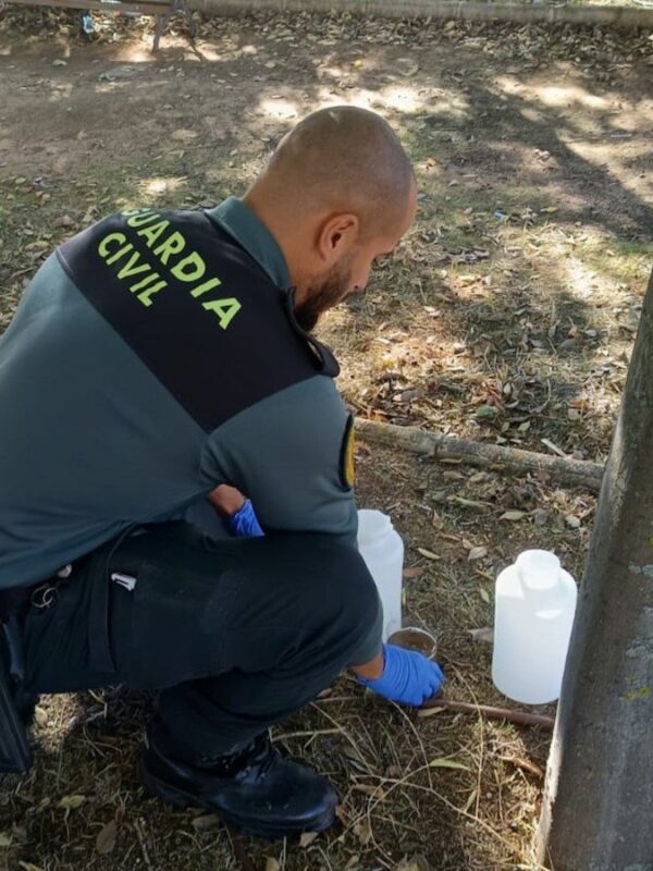 Investigan a un vecino de Villaluenga de la Sagra por la muerte de cien gatos en el último año